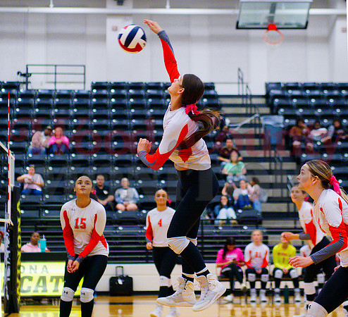 _1375209 Mahayla McMahon hits