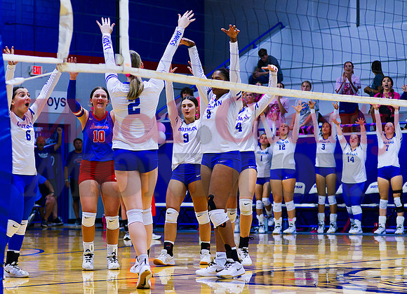 _1343338 lady dogs celebrate block