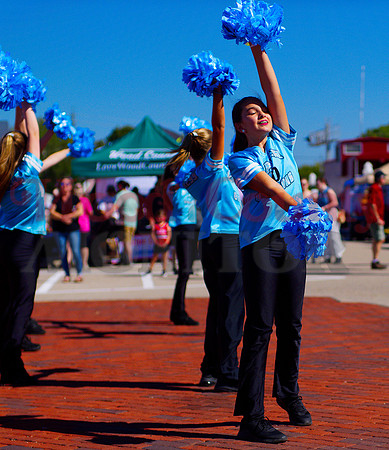 _1332868 rhythm express poms