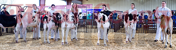 _1248692 dairy show