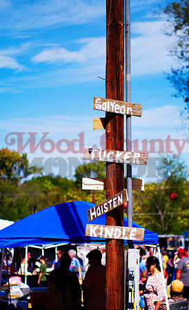 _1184907 family names