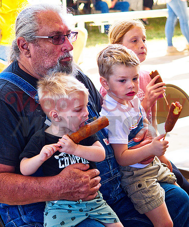 _1293899 corn dogs