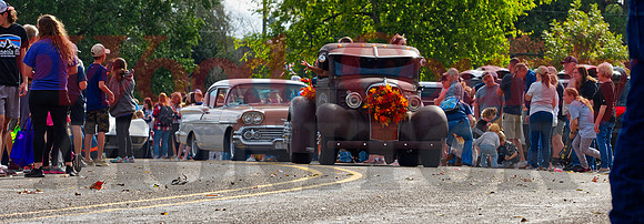 _1342703 cruising 779