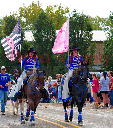 _1342732 cancer aware horses