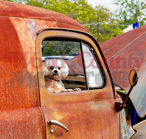 _1342740 hello