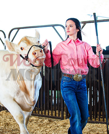 _1248882 Kinlee Baker earns sr showmanship heifer