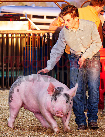 _1248809 Ben Boisclair of Quitman FFA shows grand champ hog