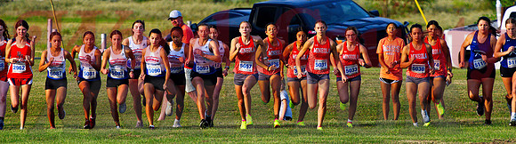 _9141334 quitman and mineola start