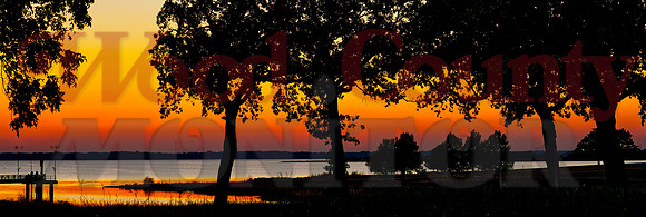 _1162502 trees on lake fork