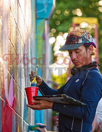 _1212865 Luis Valle paints