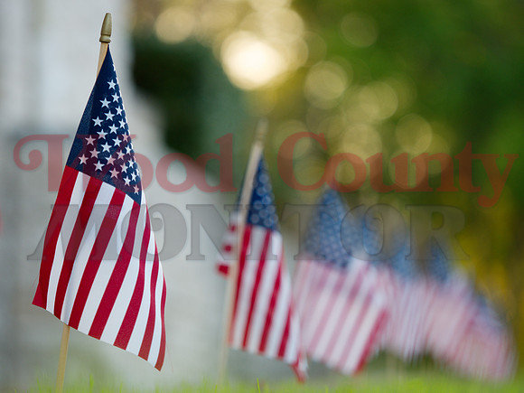 _1375420 row of small american flags