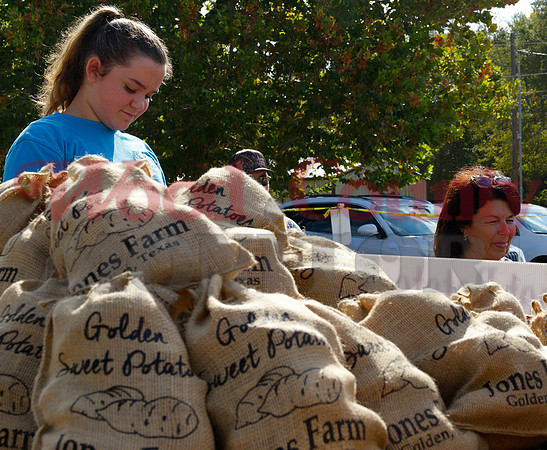 _A261944 jones potatoes