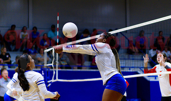 _1290154 Allie Berry bumps