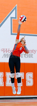 _1225212 serve