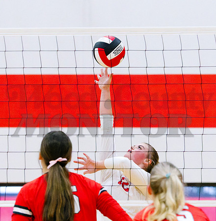 _A110832 Alexis Wilmut hits