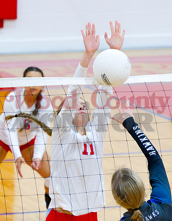 _9170467 Averi Stevenson blocks