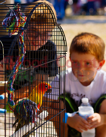 _1354798 caged