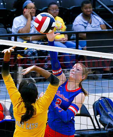 _9270157 Kinsey Hipp hits