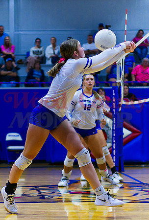_1343406 Kinsey Hipp bumps