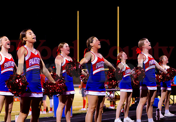 _1332343 panther cheer