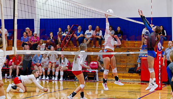 _1321063 Alexis Wilmut tips