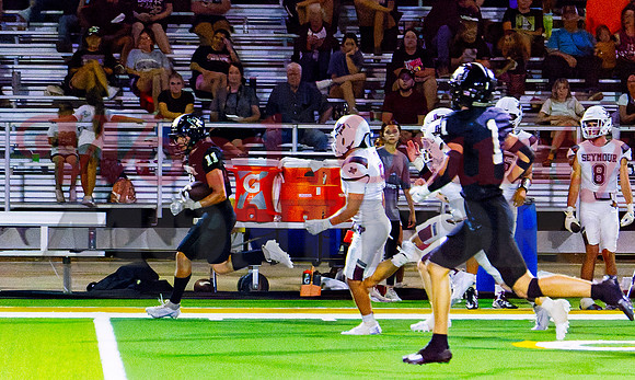 _1332054 footrace