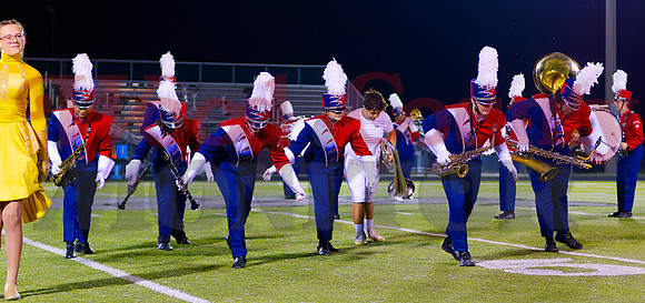 _1375724 panther band bows