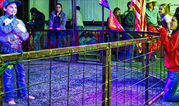_1124784 Kros Donohoe rabbit fans