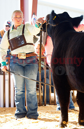 _1248883 Avery von Reyn shows class-3 winning heifer
