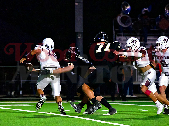 _9200303 sack