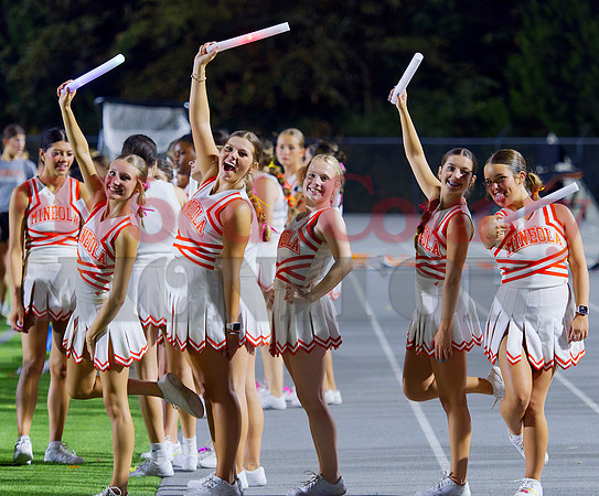 _8300275 cheerlighters