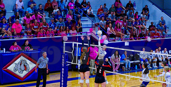 _1343584 quitman pinkout