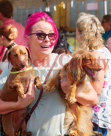 P_092968 Halee Gonzalez holds dobby and mabel