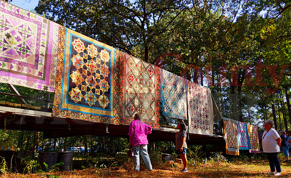 _A120020 arboretum bridge