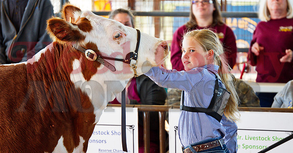 _1248877 Brayley Carr winning jr showmanship heifer