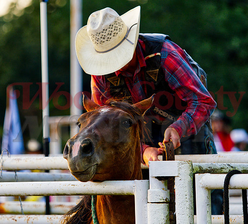 _7136465 pro bronc