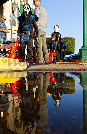 _A310961 reflection