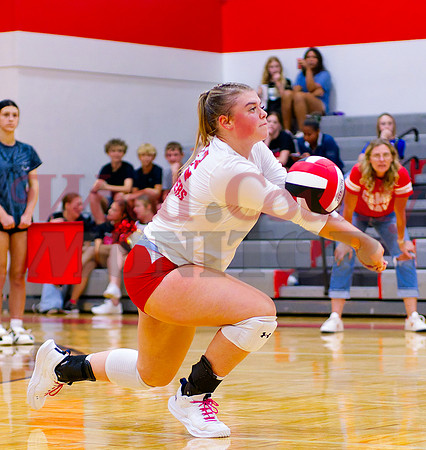 _1354695 Alexis Wilmut bumps