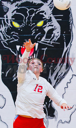 _9170494 Alexis Wilmut serves