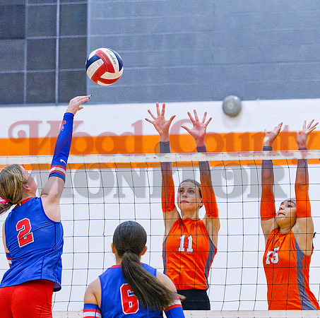 _A080355 Kinsey Hipp hits