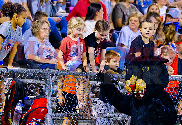 _9270874 little panther fans
