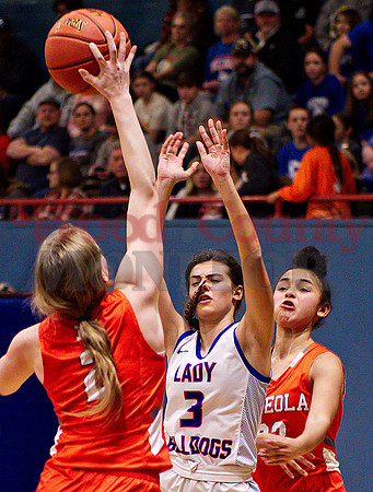 _1058552 Mylee Fischer blocks Sadie Vander Schaaf