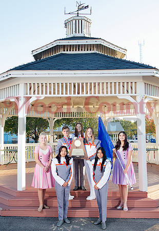 _1069269 gazebo group
