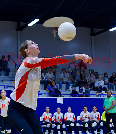 _1270017 Olivia Hughes bumps