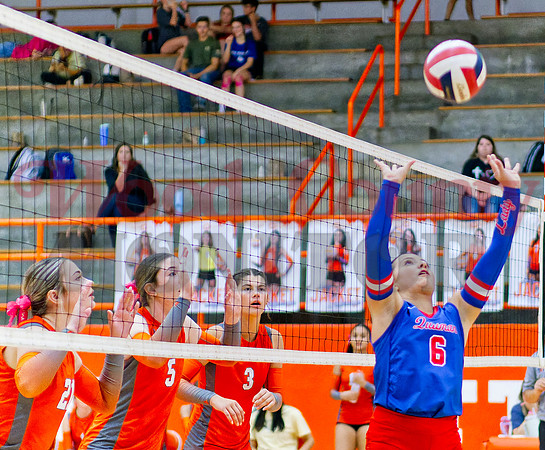 _1354441 lady jackets await set by Kaylin Sapp