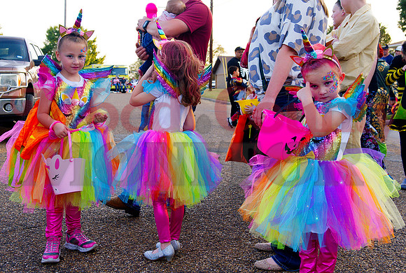 _A300898 unicorns