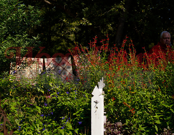 _1354763 greenery