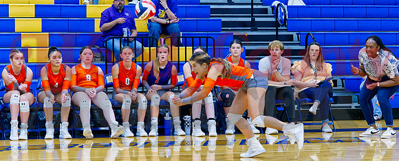_9060532 bench watches Carmen Carrasco retrieve