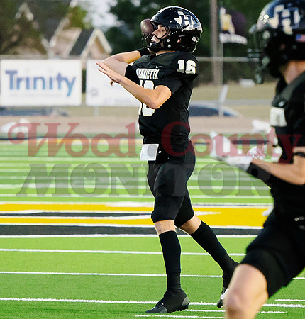 _9200165 td pass