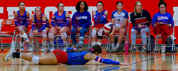 _1354147 Erin Vander Schaaf dives